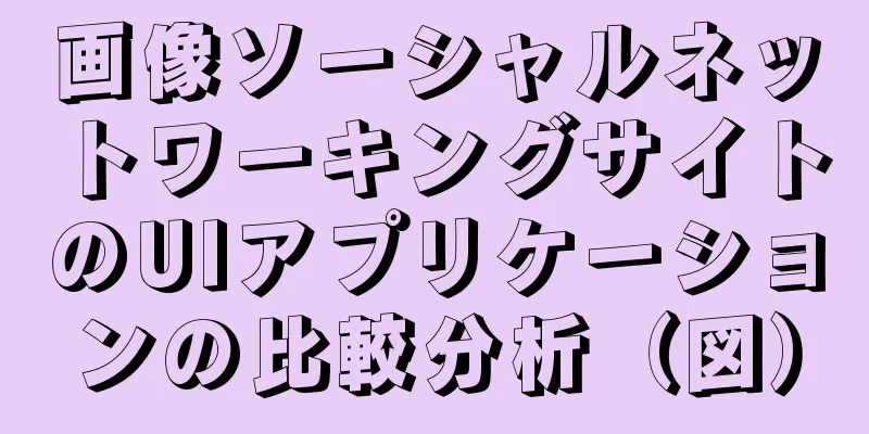 画像ソーシャルネットワーキングサイトのUIアプリケーションの比較分析（図）