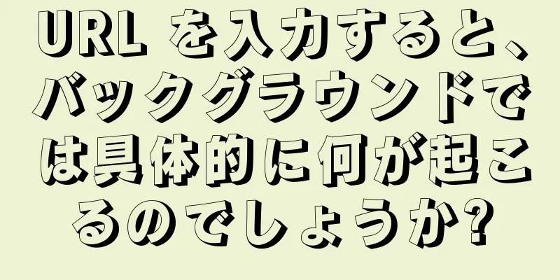 URL を入力すると、バックグラウンドでは具体的に何が起こるのでしょうか?