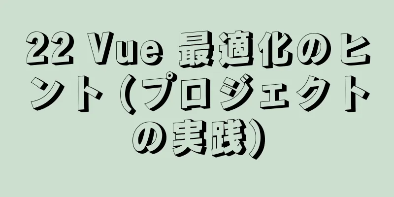 22 Vue 最適化のヒント (プロジェクトの実践)