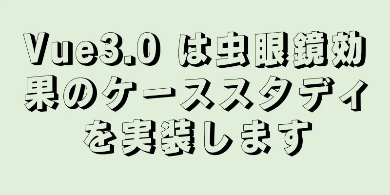 Vue3.0 は虫眼鏡効果のケーススタディを実装します