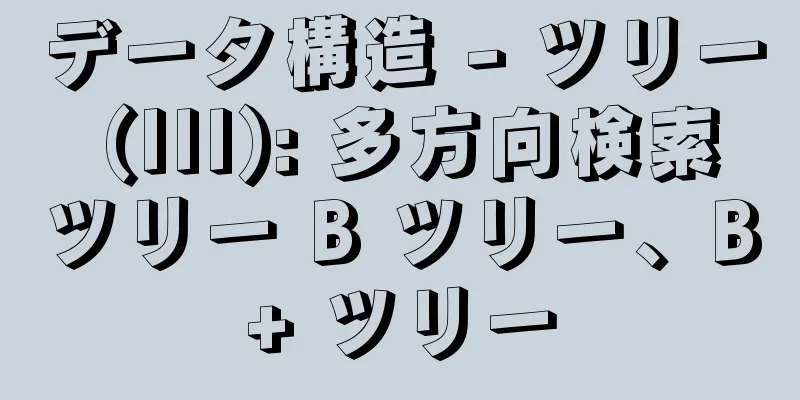 データ構造 - ツリー (III): 多方向検索ツリー B ツリー、B+ ツリー