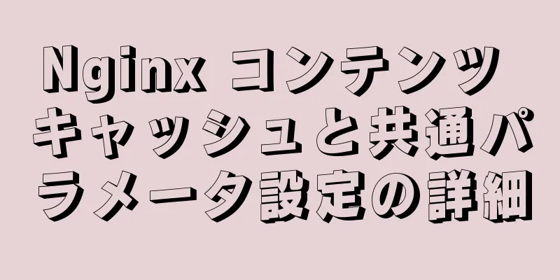 Nginx コンテンツ キャッシュと共通パラメータ設定の詳細