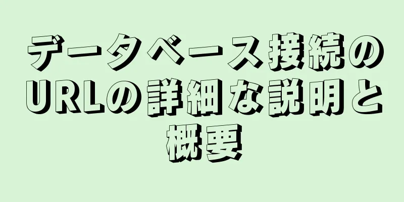 データベース接続のURLの詳細な説明と概要